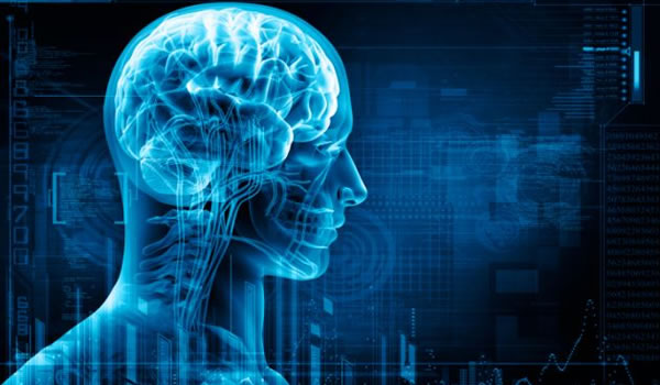 cerebro
