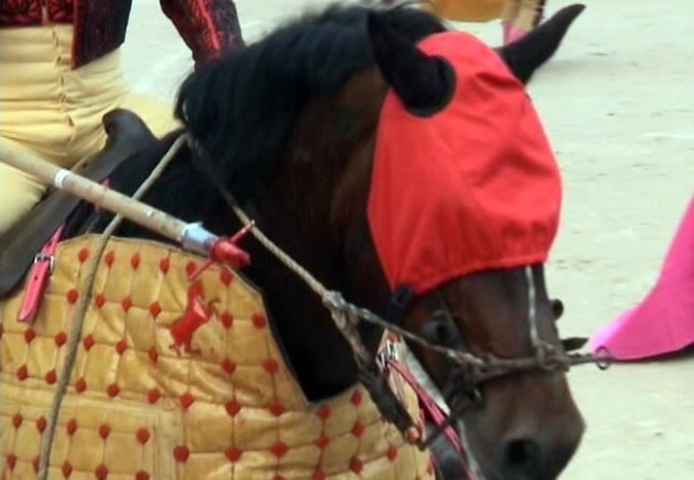 caballo-ojos-tapados