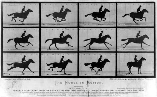 El caballo no galopa. Eres tú quien hace que galope