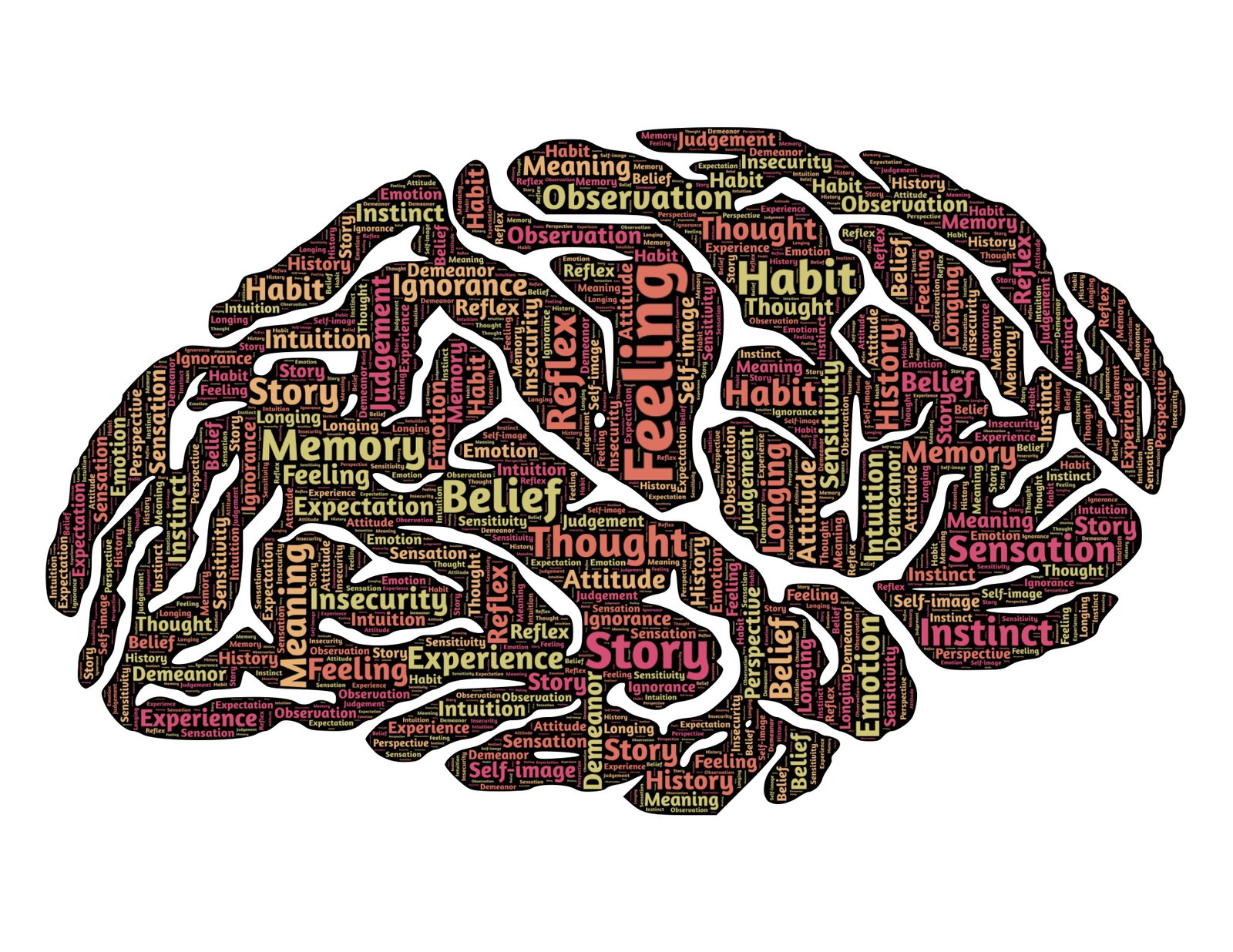 brain-544412
