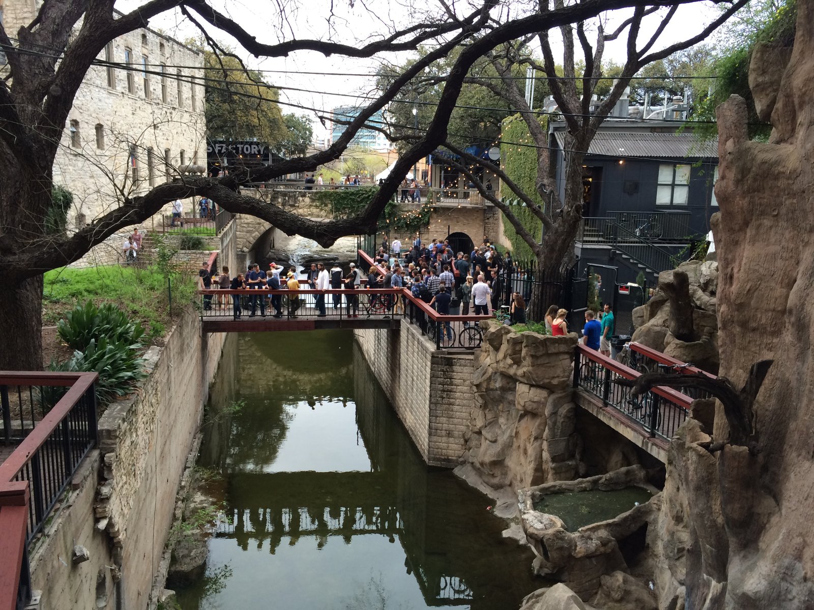 IMG_7537