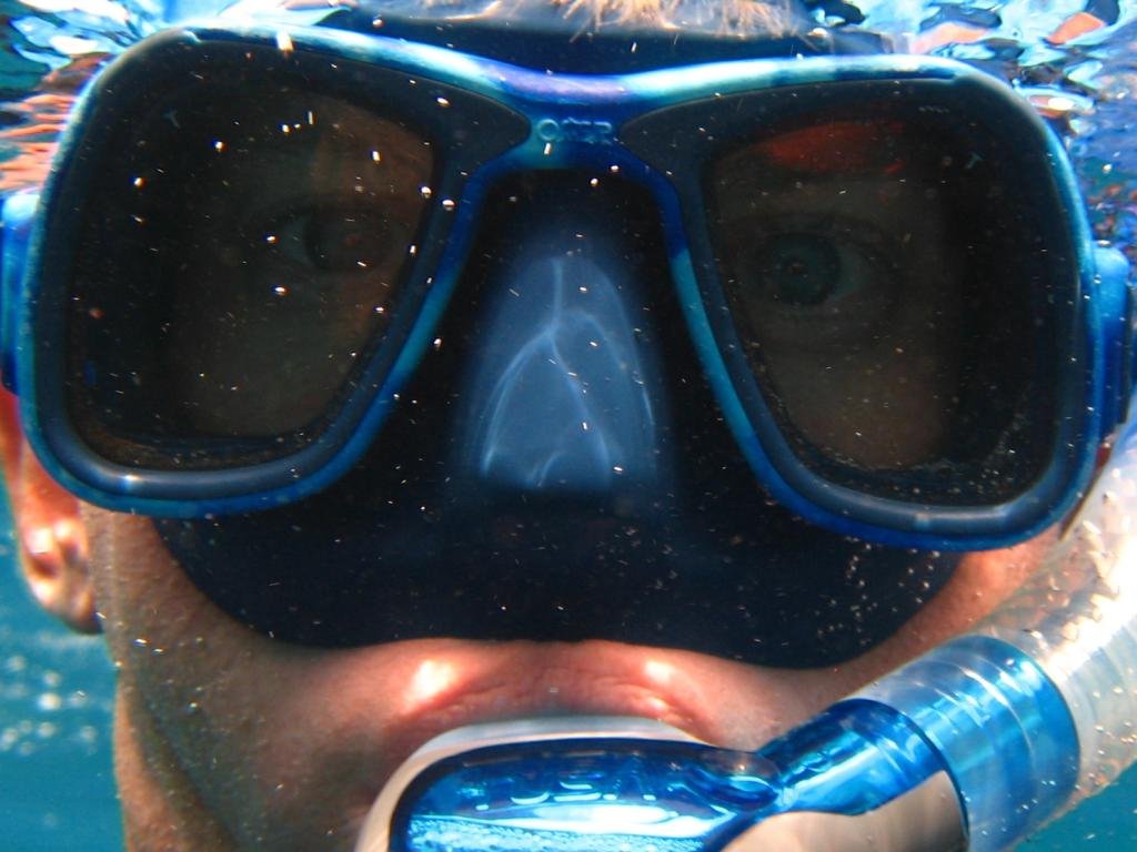 ¿Eres de Scuba o de Snorkeling?