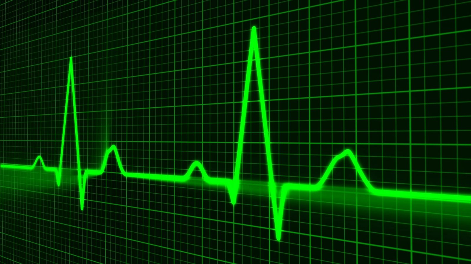pulse-trace-163708