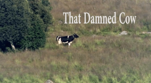 "That Damned Cow" by Tim Prevett
