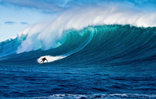 Surfeando el contenido