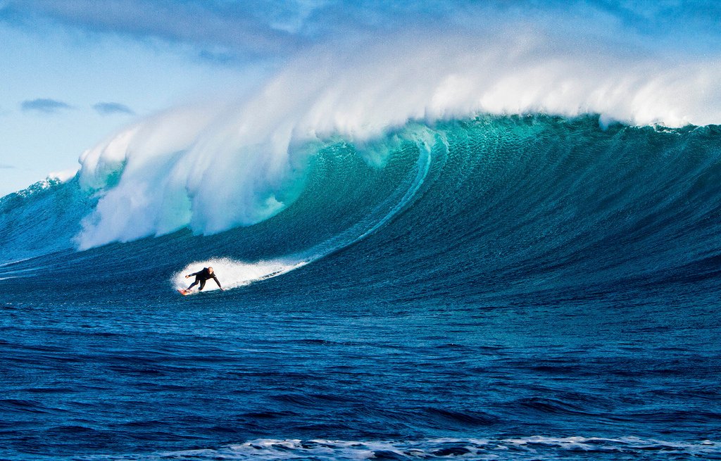 Surfeando el contenido