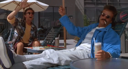 giphy weekend bernies