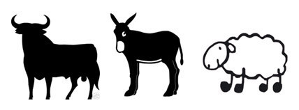 toro burro oveja