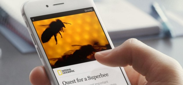 instant articles