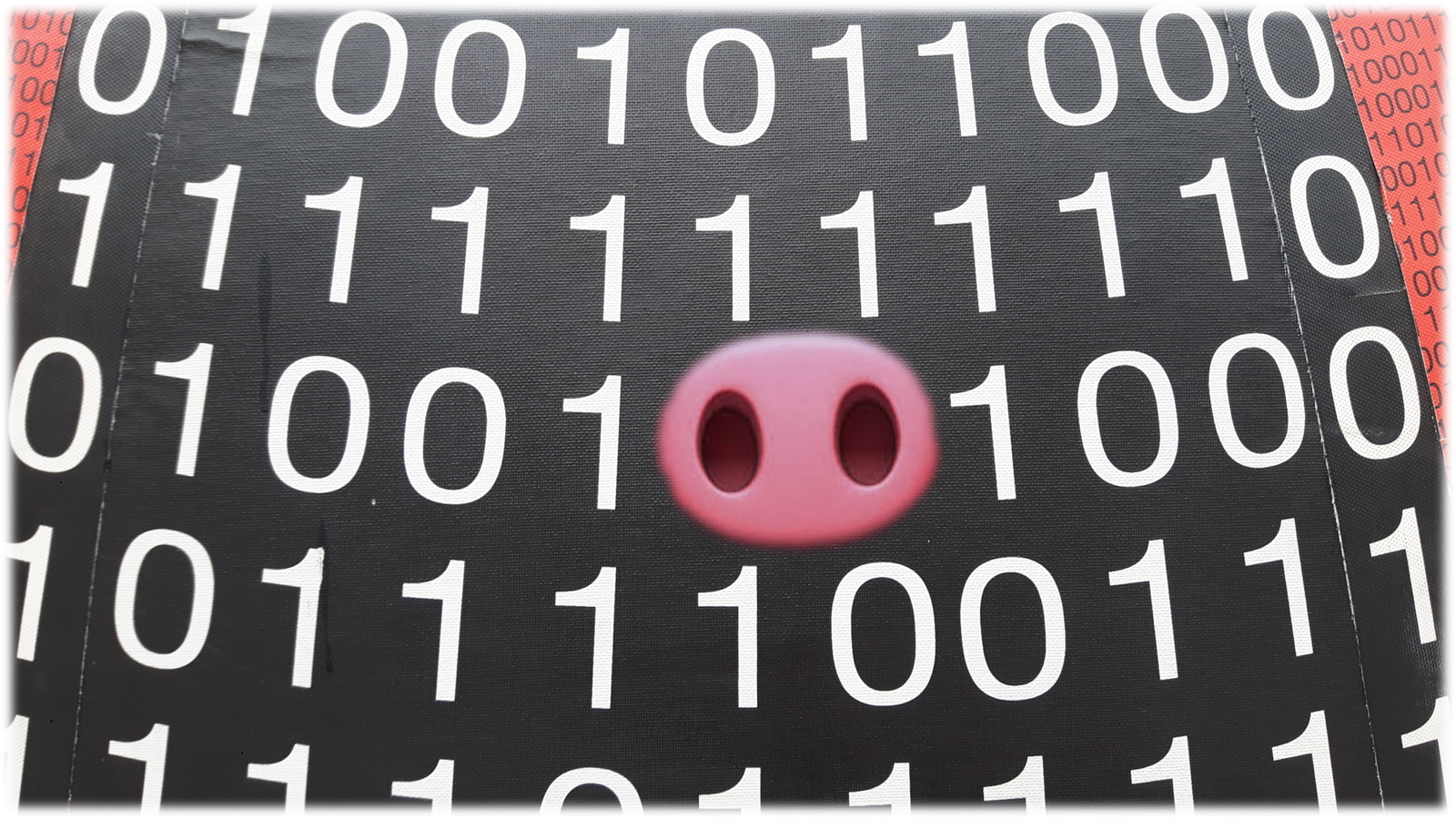 PIG DATA Portada