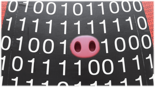 PIG DATA Portada